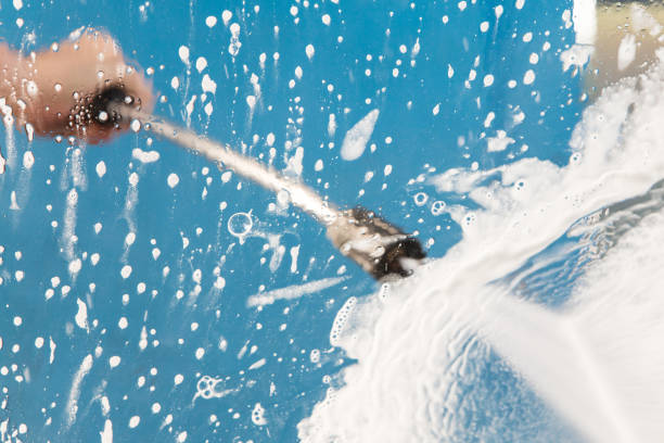 Best Roof Washing  in Egypt Lake Leto, FL